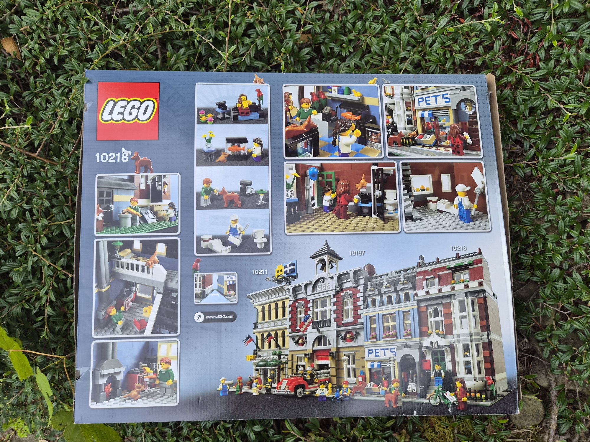 Fotografie LEGO 10218